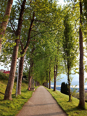 Ecoembes se lanza al camino de Santiago