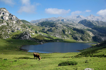 El encanto del alojamiento rural en Asturias