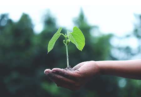 Cuidar el planeta y pagar menos es posible con Imagina Energía