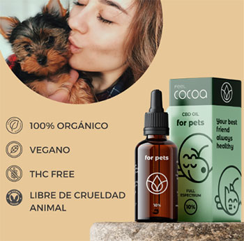 Alivio Natural para tu Mejor Amigo: Descubre los Beneficios del CBD para Perros