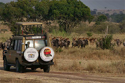 Los parques nacionales de Tanzania, el alma salvaje de África