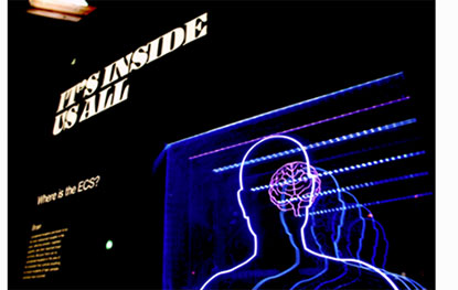 La Psicología de las Apuestas: Por Qué Apostamos y Cómo Mantener el Control