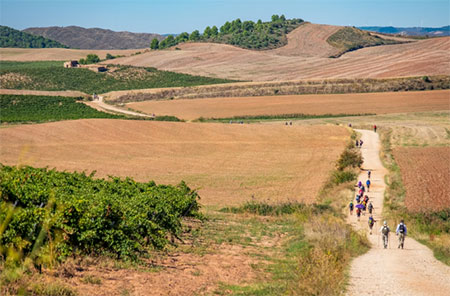 El Camino de Santiago en privado: alternativas de alojamiento para descansar tras cada etapa