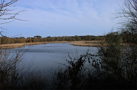 Etimoloxía e significado da Lagoa Valura de Carregal ou Lagoa de Cospeito