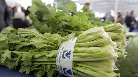 Feira do Grelo de Xestoso