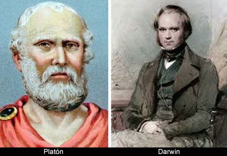 Darwin frente a Platón