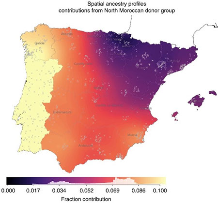 Galicia tiene un porcentaje de genética norteafricana significativamente más alto que el resto de España
