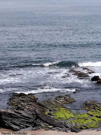 Ondas do mar, olas del mar