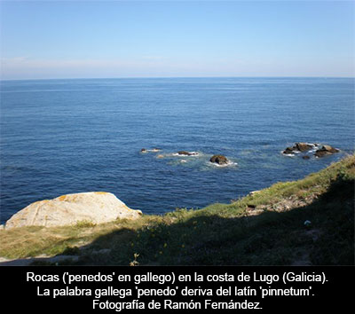El gallego es más fiel al latín que el castellano y tiene menos influencia celta