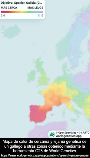 No, los gallegos no tienen la misma genética que irlandeses y bretones