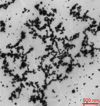 Aurora Sampedro Piñeiro: Fractales, nanopartículas e Física Cuántica