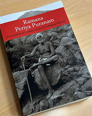 Un verano lleno de libros      