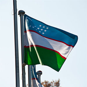 Análisis sobre las próximas elecciones parlamentarias en Uzbekistan