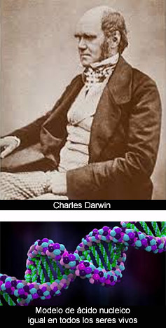 Una hipótesis de Darwin