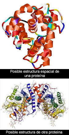 Nombres en biología (4)