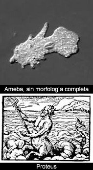 Nombres en biología (4)