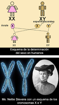 Nombres en biología (5)