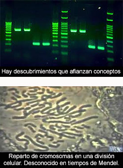 Los conceptos en ciencia