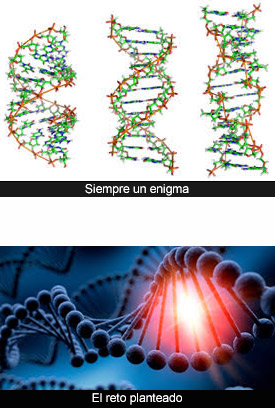 Genoma y genotipo