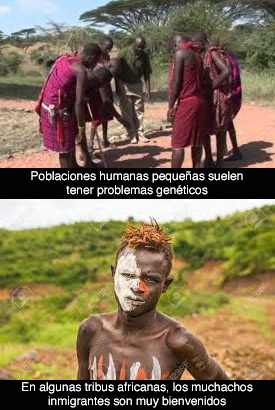 Genes inmigrantes