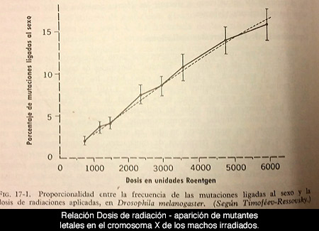 La hipótesis del blanco