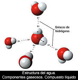 Emergencia de caracteres