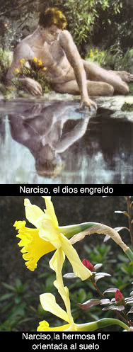 Flores tempranas y sus nombres