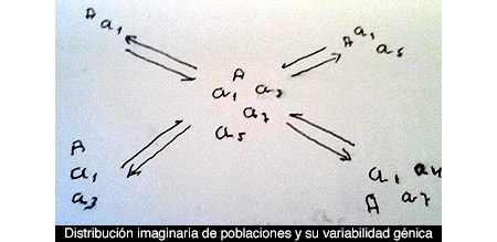 Sobre poblaciones