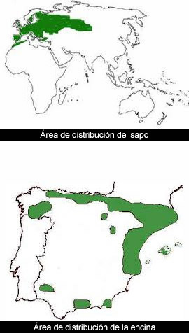 Origen de una población