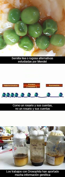 La verdad en Ciencia