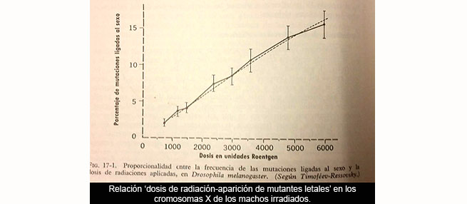 La hipótesis del blanco