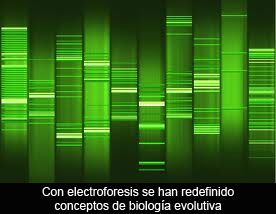 Los conceptos en ciencia