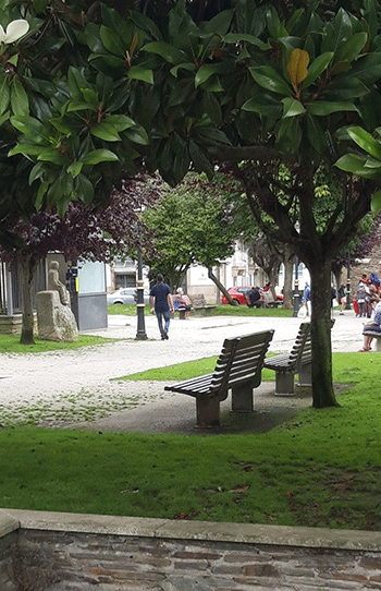 Jardines bonitos