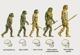 Tendencias evolutivas