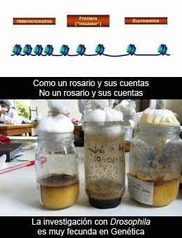 La verdad en Ciencia