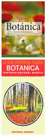 Origen del nombre 'Botánica'