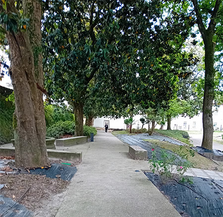 Un recóndito jardín