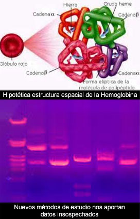 El doble tipo de estudios en Biología