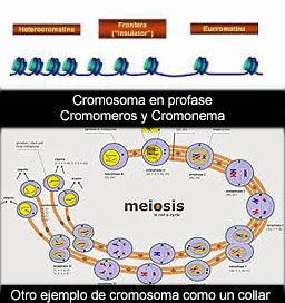 Hablemos de la verdad en la ciencia