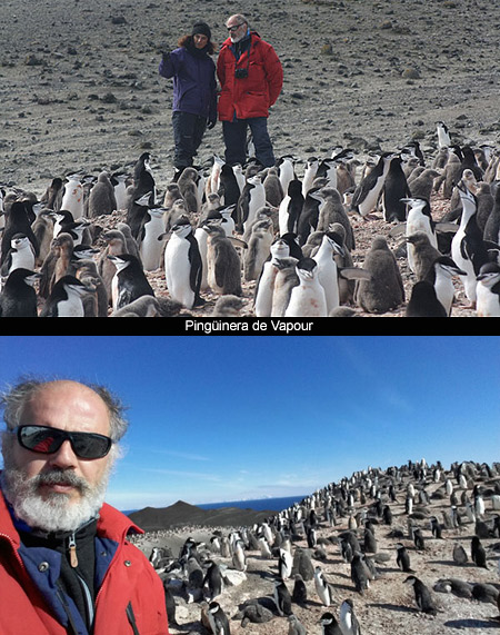 Horizonte Antártida (12)