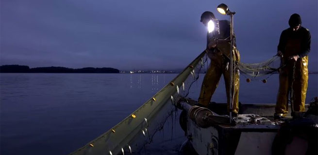 Pescadores de Lampreas