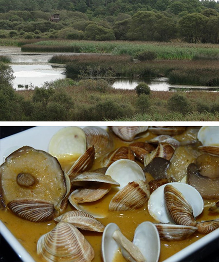 Las delicias del bosque