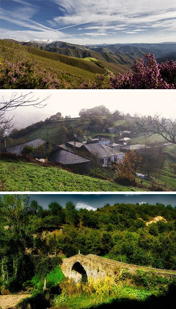 Cervantes, tierra de ciervos