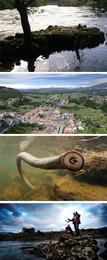 El sabor de los divinos horrores