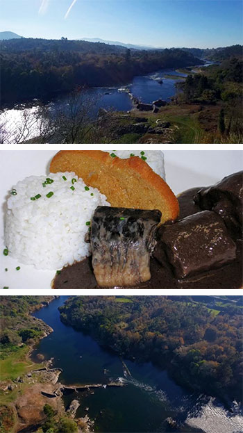 El sabor de los divinos horrores