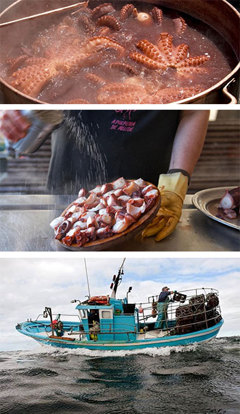 El pulpo, embajador de Galicia