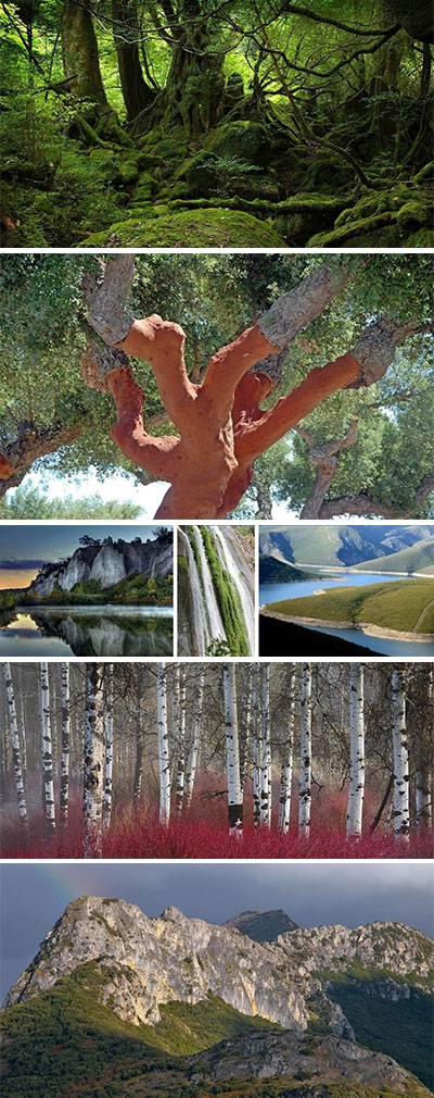 4 sierras, 4 picos, 4 pueblos, 4 árboles...