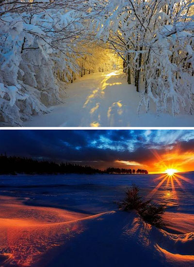 Navidad en la Tierra Única