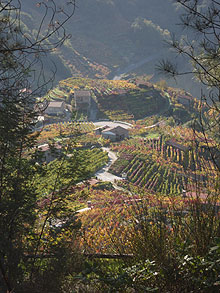 Proclamación do outono na Ribeira Sacra de San Fiz de Asma