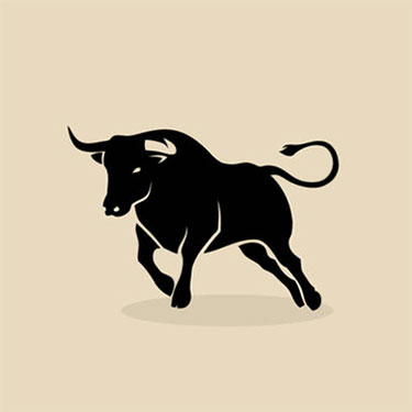 A Tauromaquia en Franca decadencia